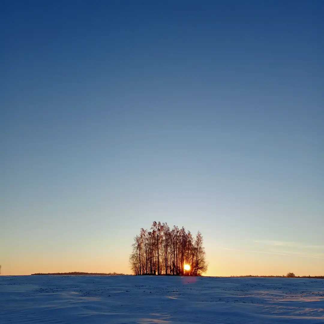 ABUZAYNAB716 Profile Picture