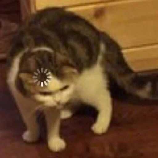 Ilia Sen Profile Picture