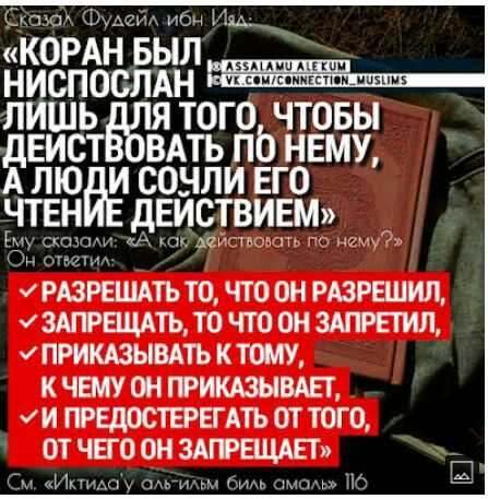 Amir Abu Maryam Profile Picture