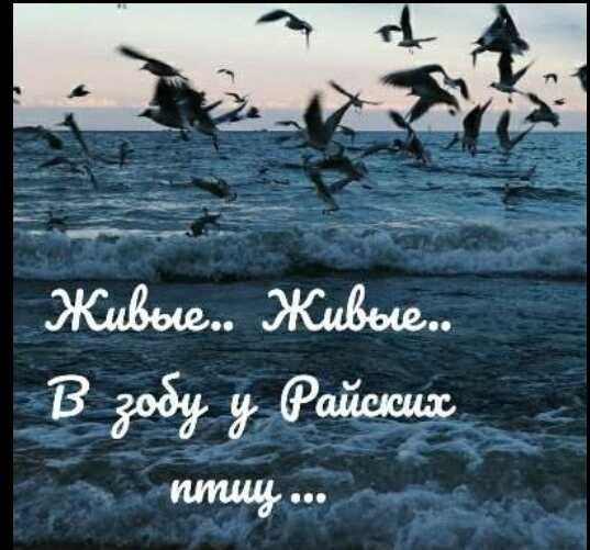 مسكينة Profile Picture