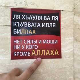 Damir Damir Profile Picture