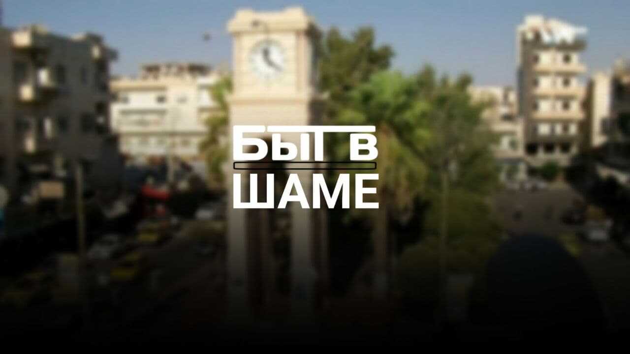 Bit_v_Shame Profile Picture