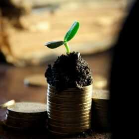 Zeinab Demirova Profile Picture