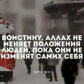 Emilbek Duishenaliev Profile Picture