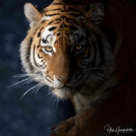 Muhamad Profile Picture