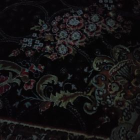 Asad00127 Profile Picture