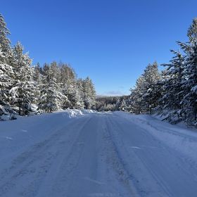 Askhab Vu Profile Picture