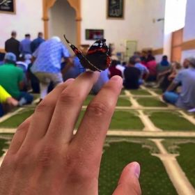 Zalim Maremshaob Profile Picture