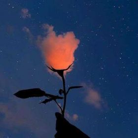 Зайд Исмаилов Profile Picture