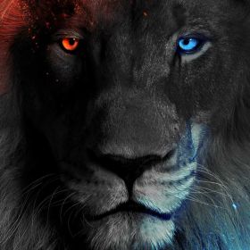 Бакран Умма Profile Picture