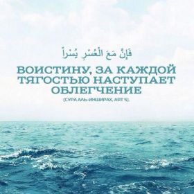 Шамиль Муслим Profile Picture