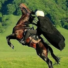 Adamnoxcho Profile Picture