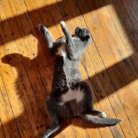 Мухтар Алиев Profile Picture