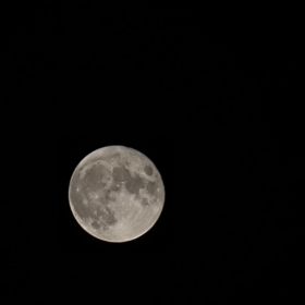 Сеид-Хусен Докуев