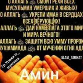 Aziza Profile Picture