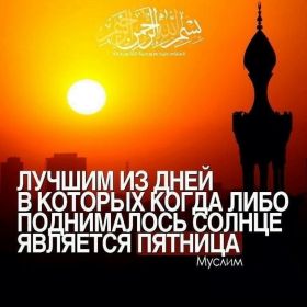 UmmMalika Profile Picture