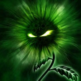 Fesiw Fesiw Profile Picture