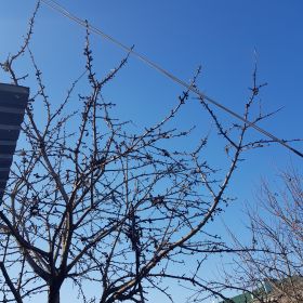 Мурад Profile Picture