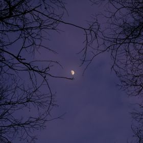 Амина Набиева