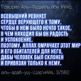 mss.etc Profile Picture