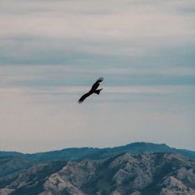 Adil Arken Profile Picture