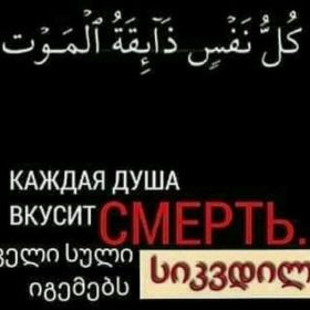 Tamazi Bagakashvili Profile Picture