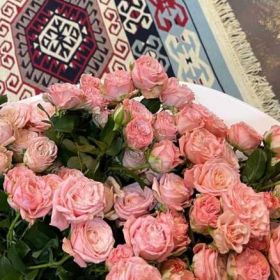 mkshrpva Profile Picture