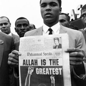 potted supply Profile Picture