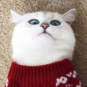 Мухаммад Сулейманов