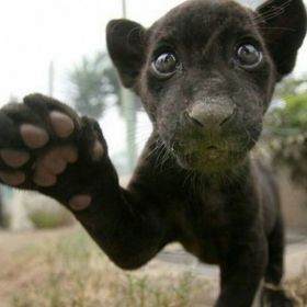 Хуссейн Мусаев Profile Picture