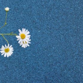 karina9006 Profile Picture