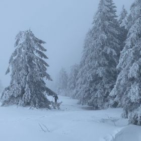 Akhmad Profile Picture