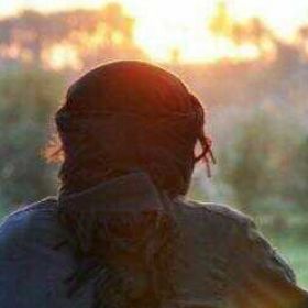 Zelimkha Profile Picture