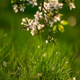 Эльмира Прекрасная Profile Picture