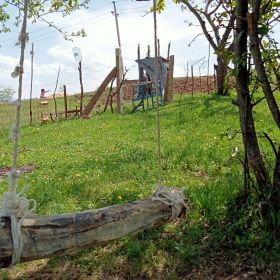 ام مختر ام مختر Profile Picture