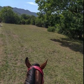 Amina Hadjimuhammad Profile Picture