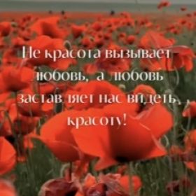 Marina Begieva Profile Picture