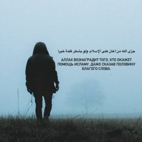 Сафудин Дышеков Profile Picture