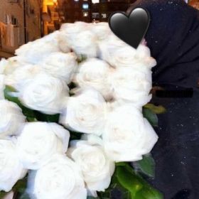 Rada1k Profile Picture