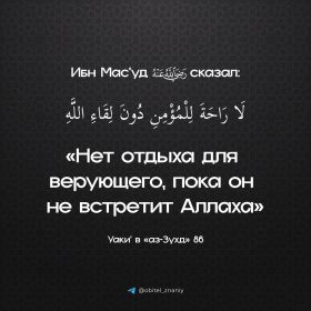 ABU KHAMZA Profile Picture