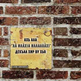 Aaminah Bashaeva Profile Picture