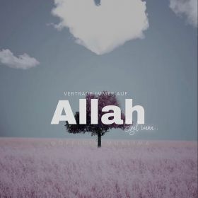 Farina Profile Picture