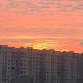 Мадина Хаджиева