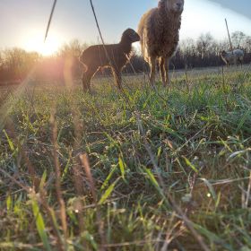 Наби Хамаматов Profile Picture