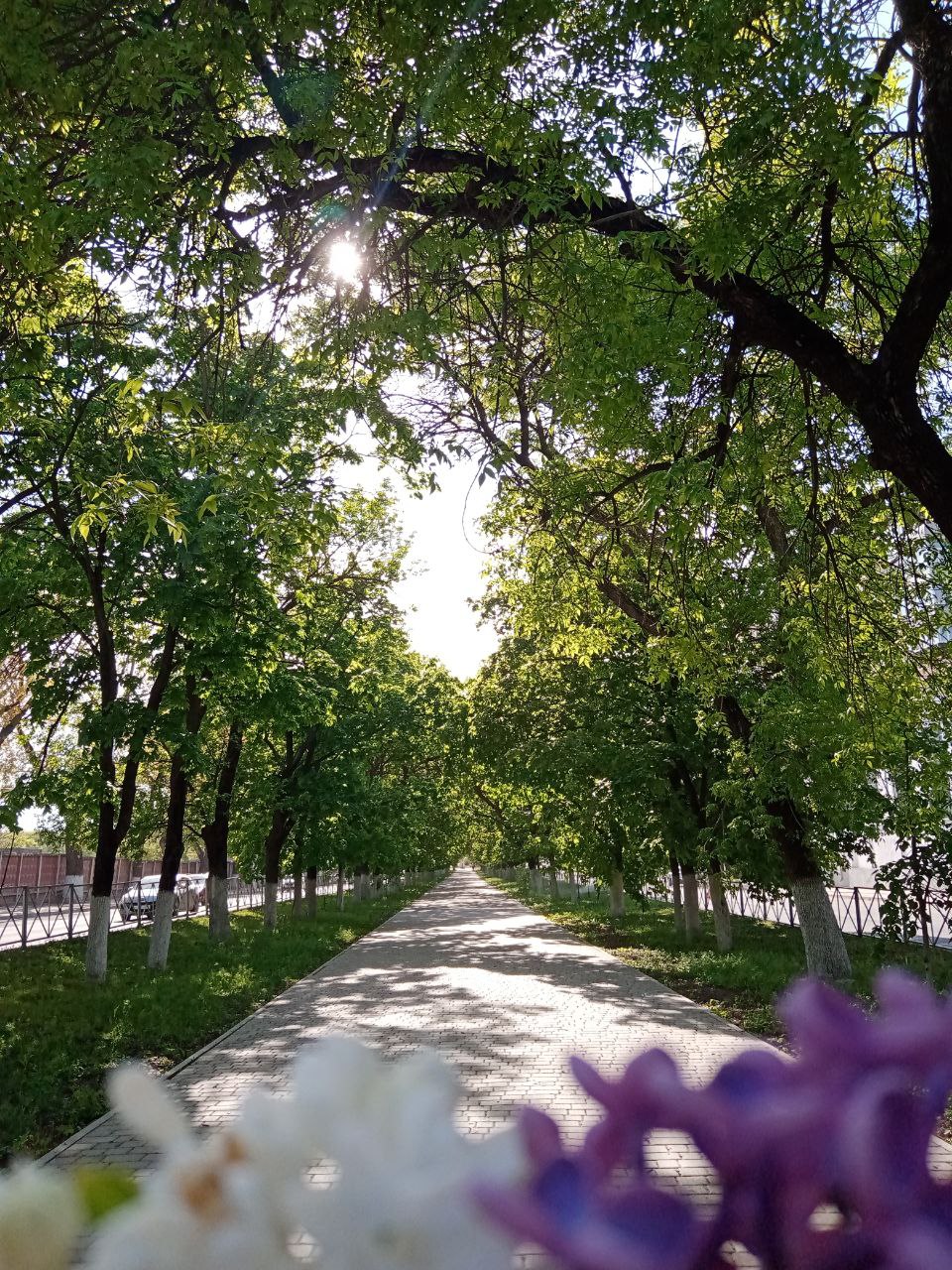 Photogallery Profile Picture