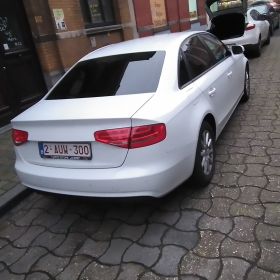 MELHI Borz Profile Picture