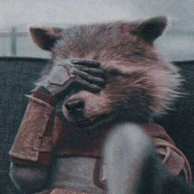 Nohcci Borz Profile Picture