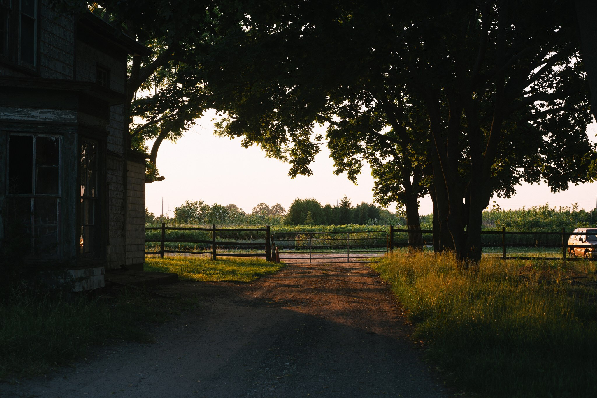 alasestrellas Profile Picture