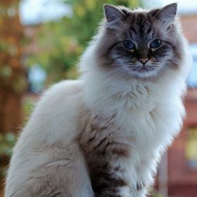 Расул Profile Picture