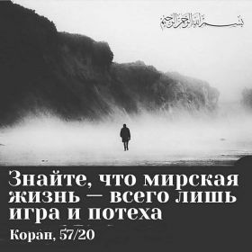 evil_wolf002 Profile Picture